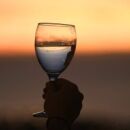 Nigel, The International Man of Mystery Next Door