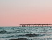 The One Where I Almost Kill Myself Twice in Five Minutes