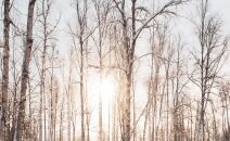 The Trouble With Working from Home