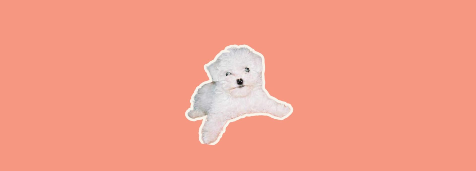 The Mysterious Incident of the Dog Turd in the Night time