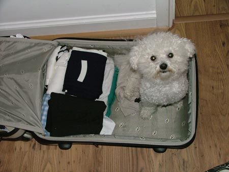 Packing a Suitcase: an excercise in procrastination