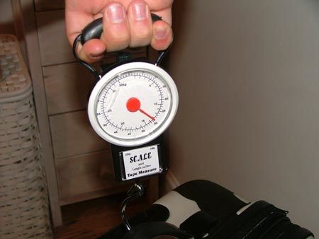 The Weigh-In