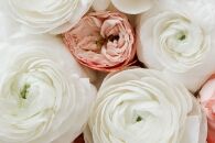 Pregnancy Diary | Week 9 | Impostor Syndrome