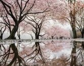 Bedtime in Forever Amber’s household