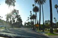 In Praise of Esther Williams Swimwear