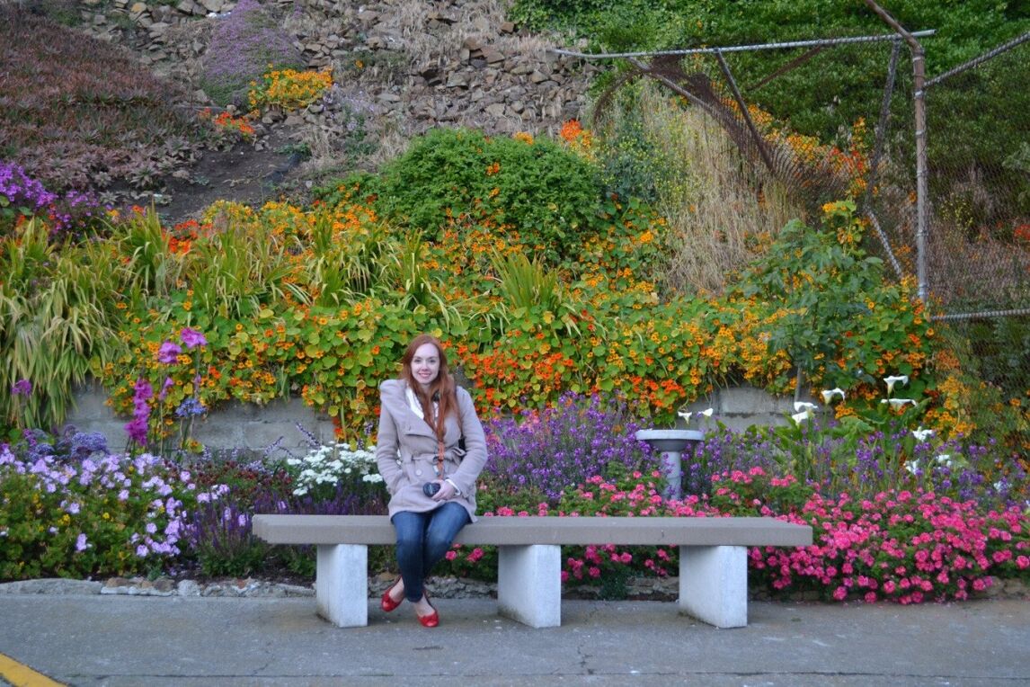 flowers on Alcatraz island
