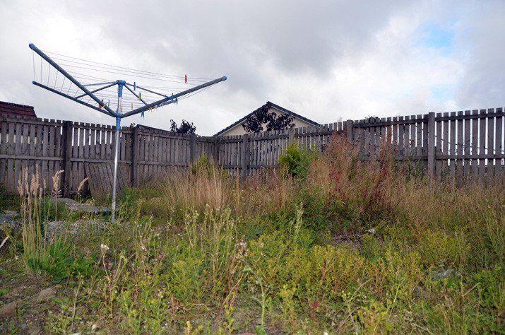 there's a garden under there somewhere