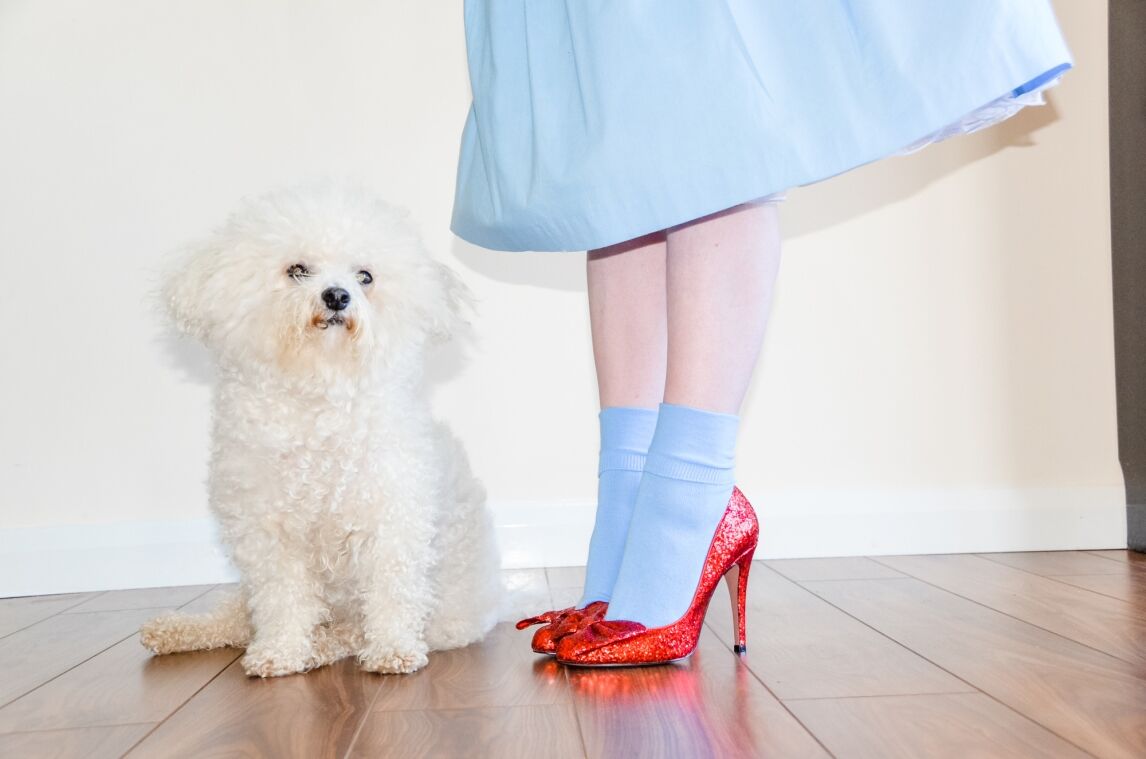 Dorothy's red slippers - Wizard of Oz fancy dress
