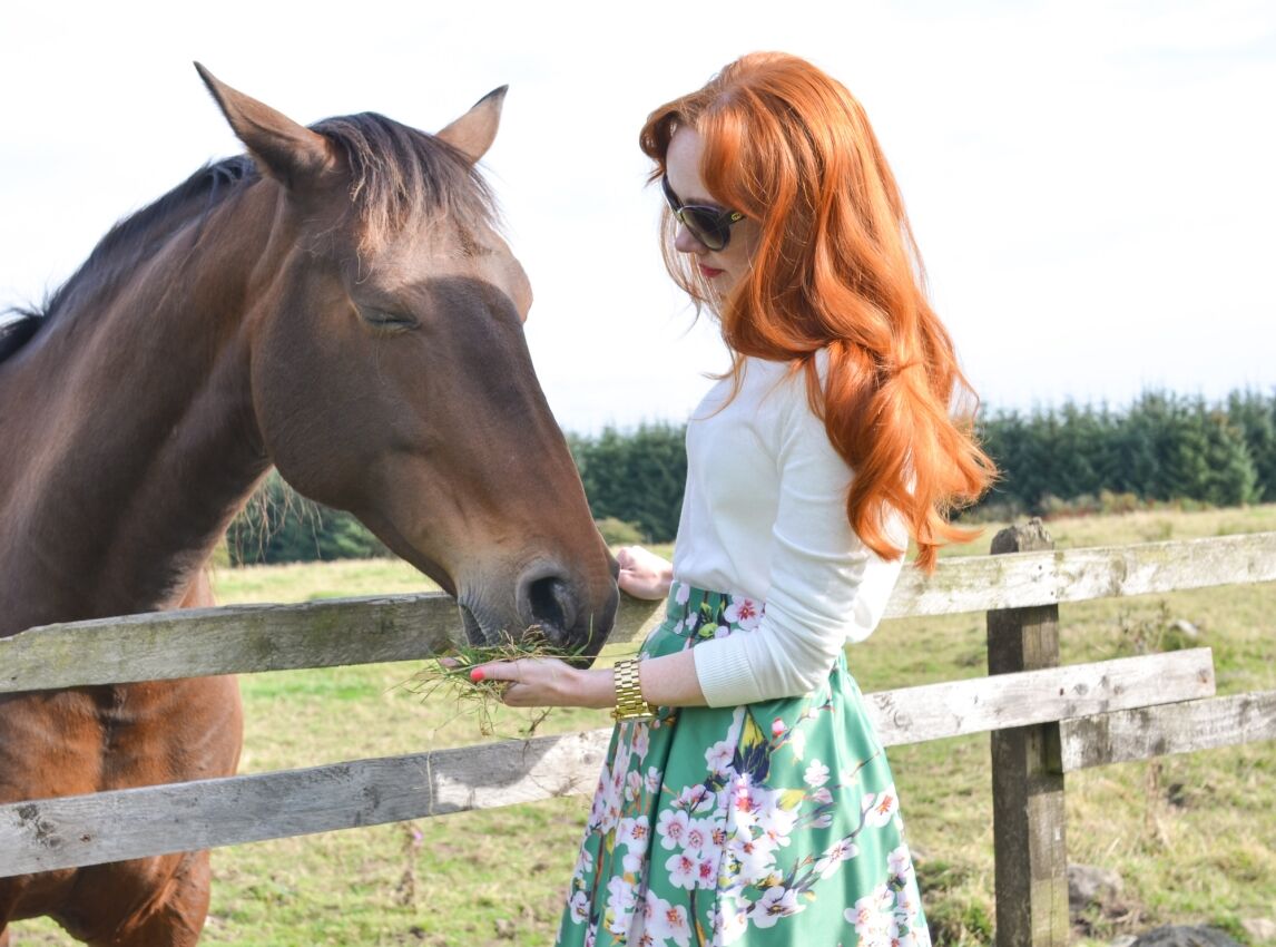 Amber feeding a horse
