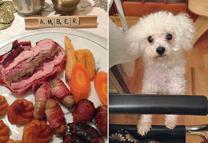 Christmas dinner and a hungry dog