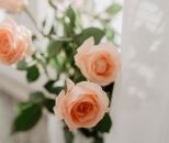 How to Tame Flyaway Hair With Argan Oil