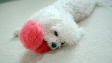 OUTFIT | Camel and Tan