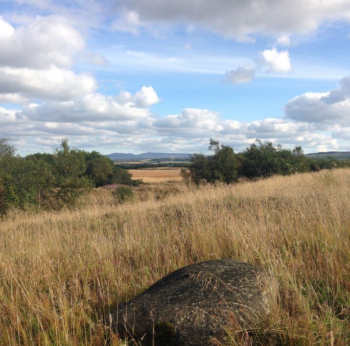 Scottish countryside in Autumn