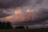 5 Must Have Products for Redheads