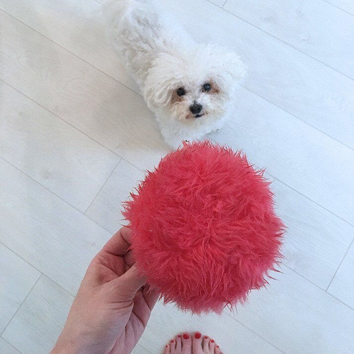 Rubin and his earmuffs