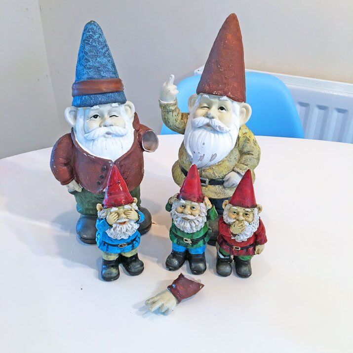 gnome family
