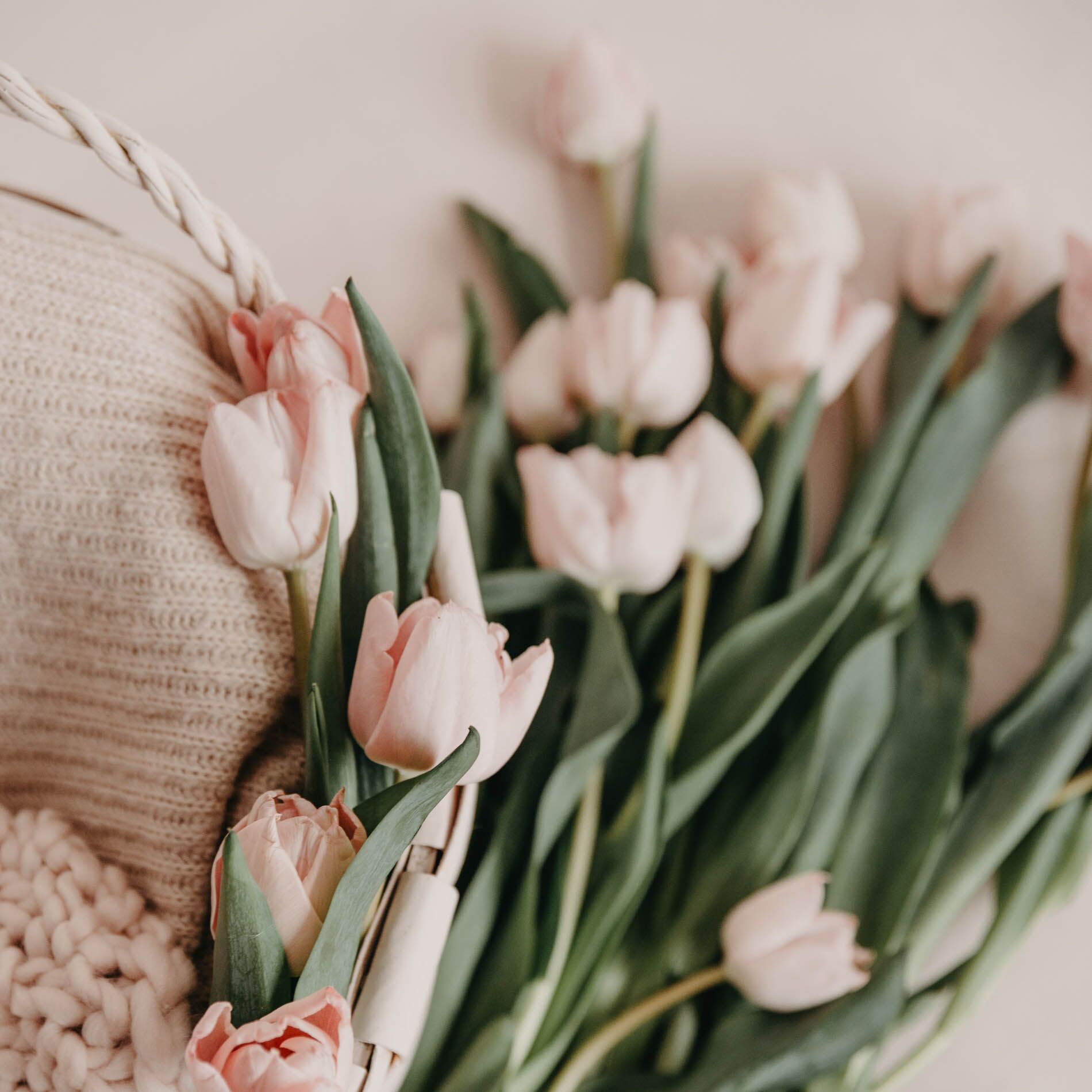 Reading Anne of Green Gables as an adult is weirder than you might expect, and other observations from my week