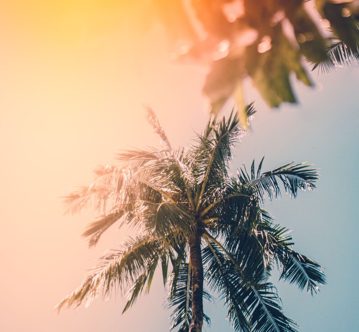 50 things we learned from the Australian sop opera, Neighbours