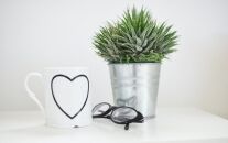 The Auditorio de Tenerife