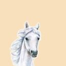 Let Me Entertain You