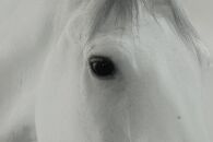 How The NeverEnding Story Ruined My Childhood