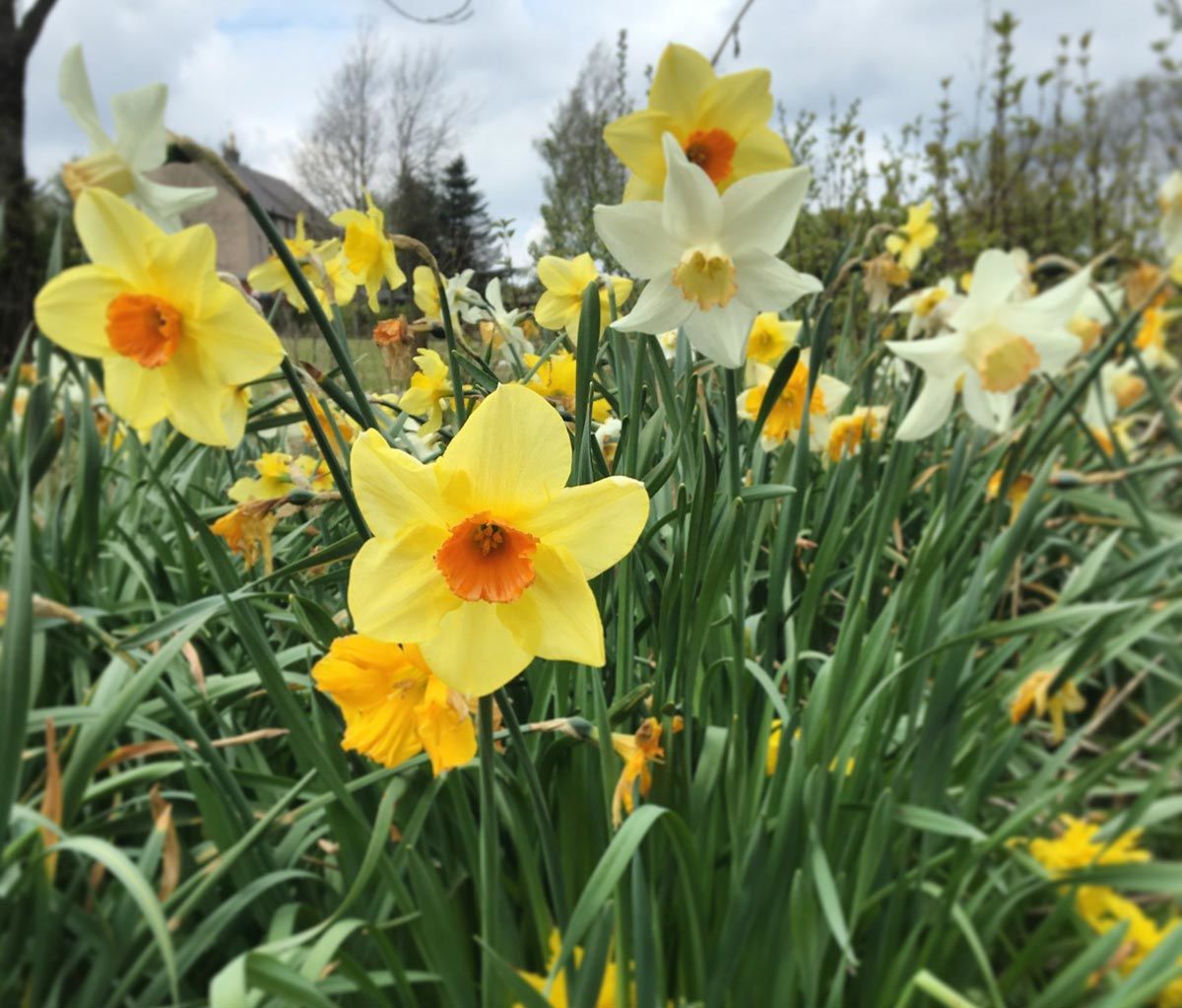 Secret Diary | The Saga of the Three Piece Suite