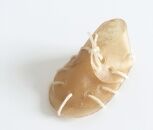 A Quick Rubin and Life Update