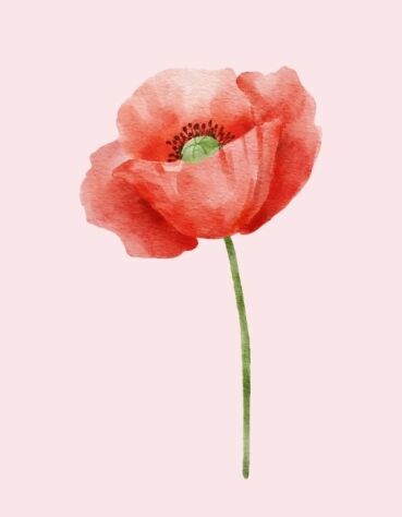 My Ectopic Pregnancy Story