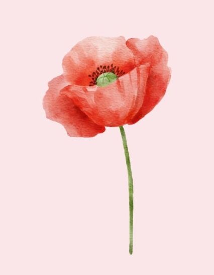 My Ectopic Pregnancy Story