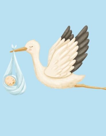 Max’s Birth Story | My Elective C-Section