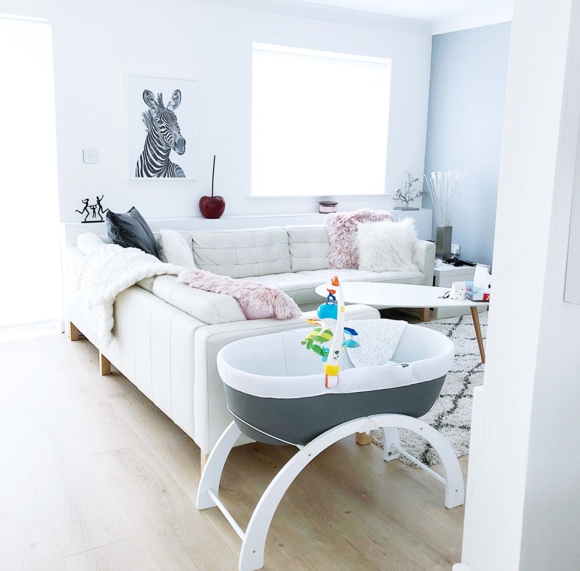 Shnuggle Dreami moses basket review