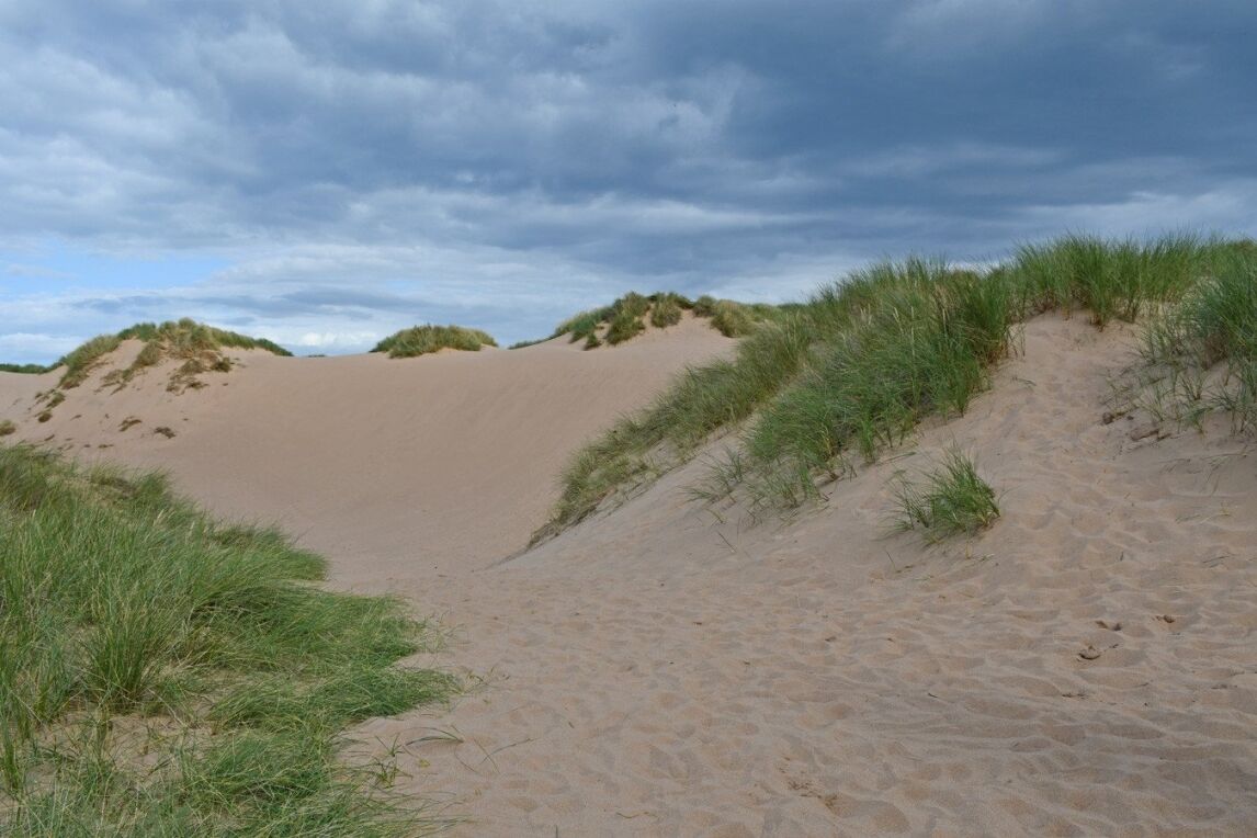 Balmedie Beach sand dunes, Aberdeenshire, Scotland