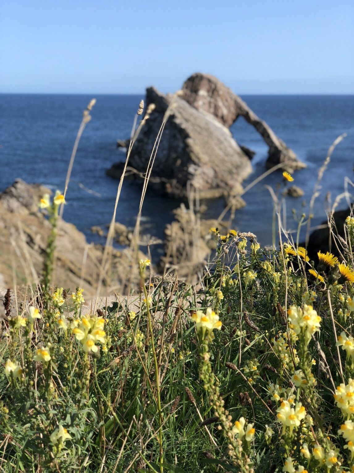 Bow Fiddle Rock, Portnockie, Scotland