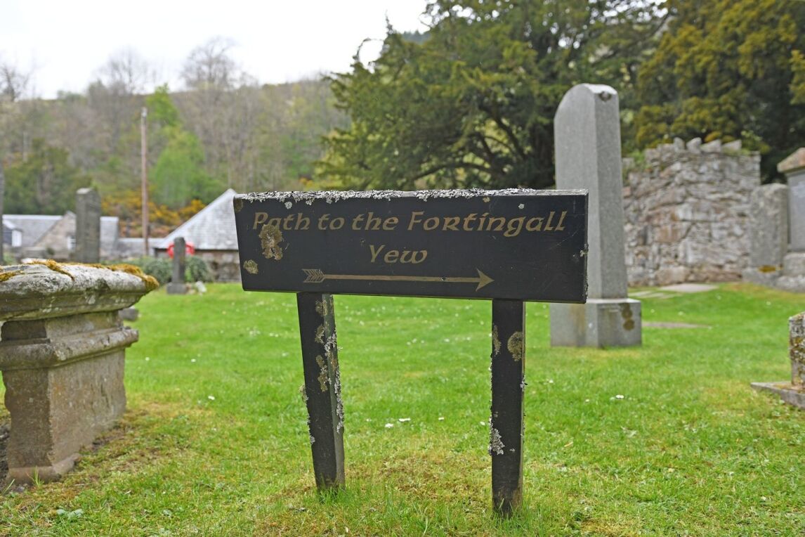 The path to the Fortingall Yew tree