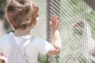 Exploring Scotland | Auchingarrich Wildlife Centre, Perthshire