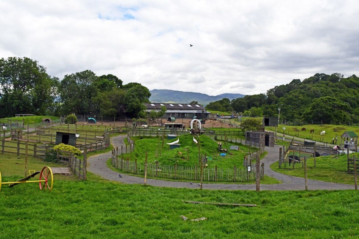 Auchingarrich Wildlife park, Crieff