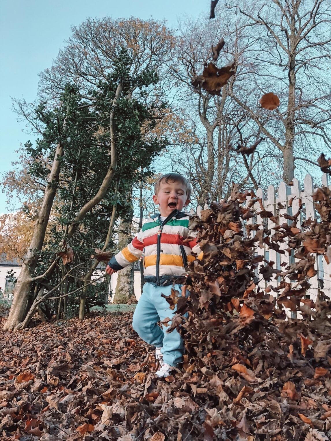 Max playing in the autumn leaves, October 2019