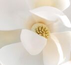 Review | TIMIO screen-free educational toy