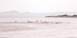 The results are in…