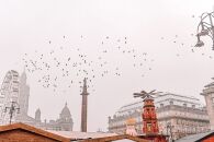 Living through a pandemic is a bit like being in The Shining, only less interesting