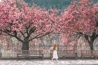 How our trip to Cramond Beach almost ended up on the news