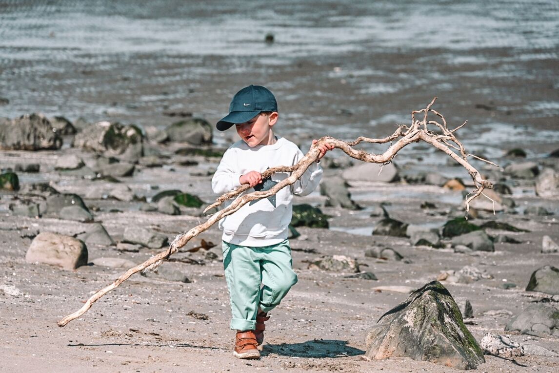 Max finds a branch on the beach