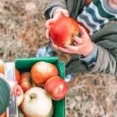 Little Ways the World Has Changed Since the Pandemic