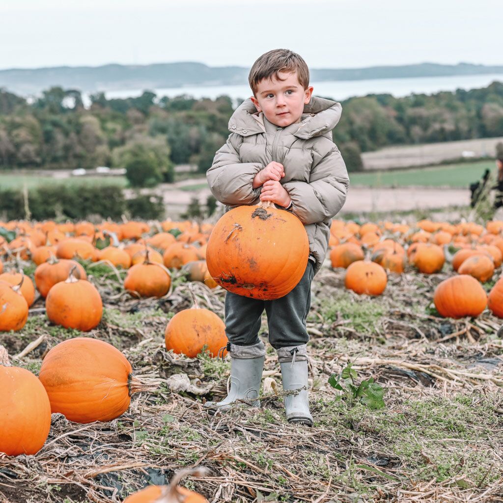 Max at the pumpkin patch