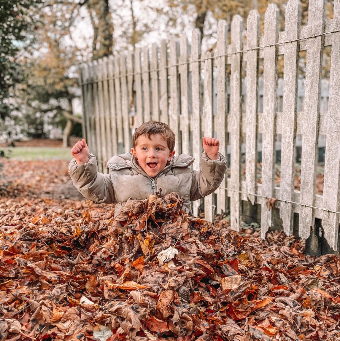 Max amongst the leaves