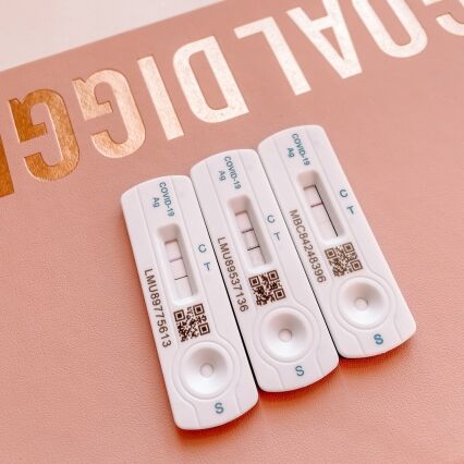 And Then We All Got Covid, The End.