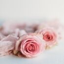 Neighbours Might Be Ending and I’m Not OK