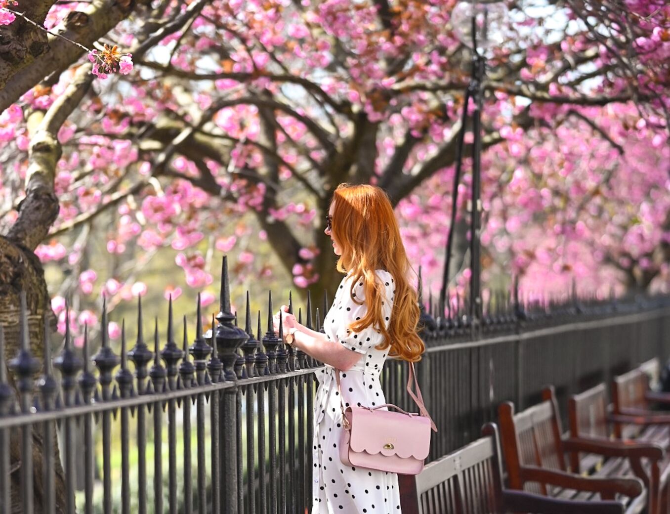 The Best Places to See Cherry Blossom in Edinburgh, Scotland