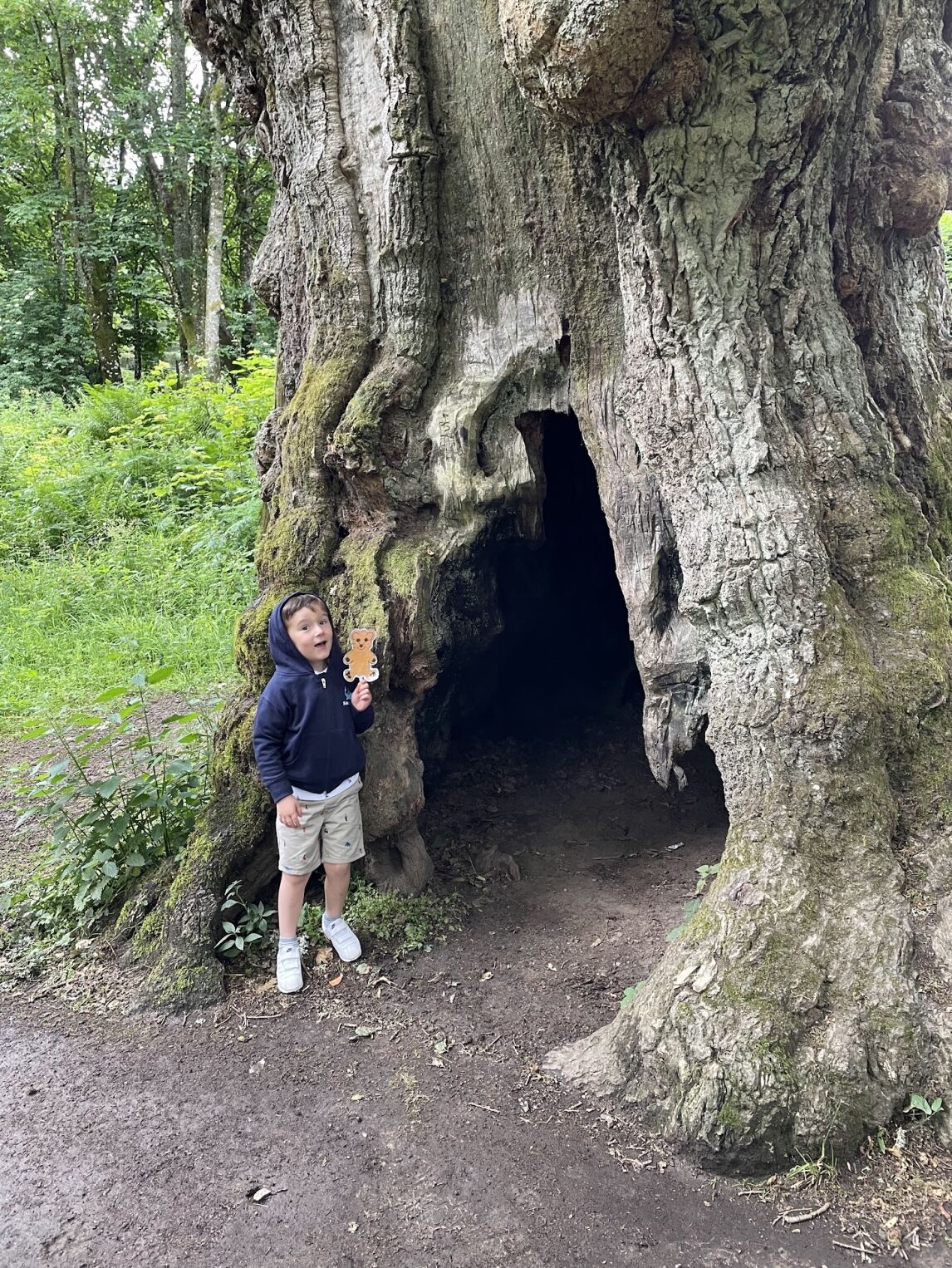 Max at the Birnam Oak, Birnam Wood, Perthshire