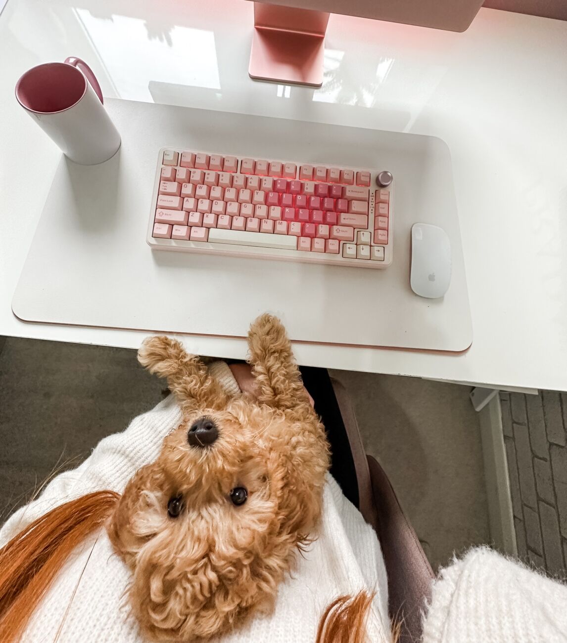 Puppy and keyboard